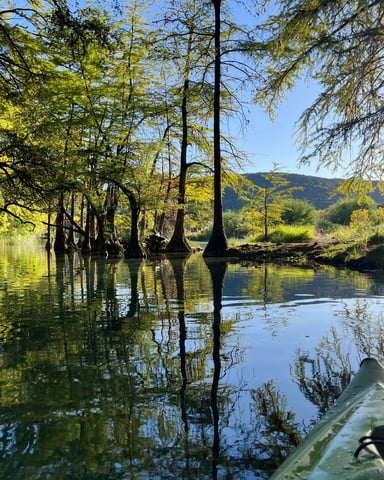Kayaker paddling through cypress trees on a calm creek