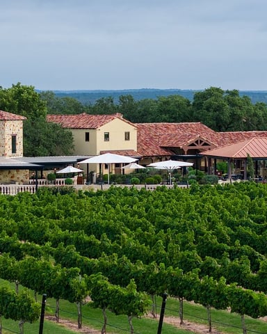 Texas Hill Country winery with rows of grapevines and a stone and stucco estate building with terracotta roof