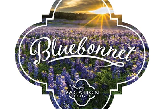 Bluebonnet - Image 1