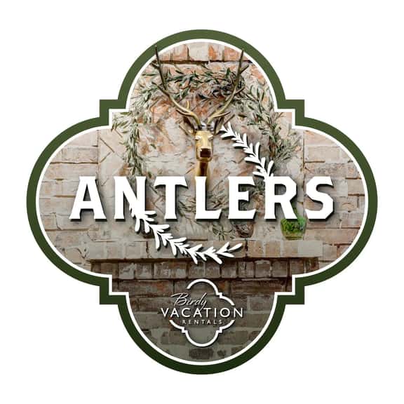 Antlers - Image 1