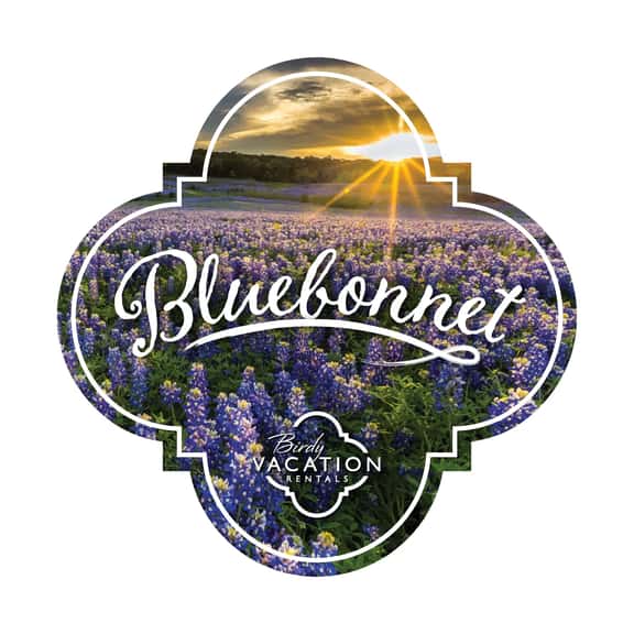 Bluebonnet - Image 1