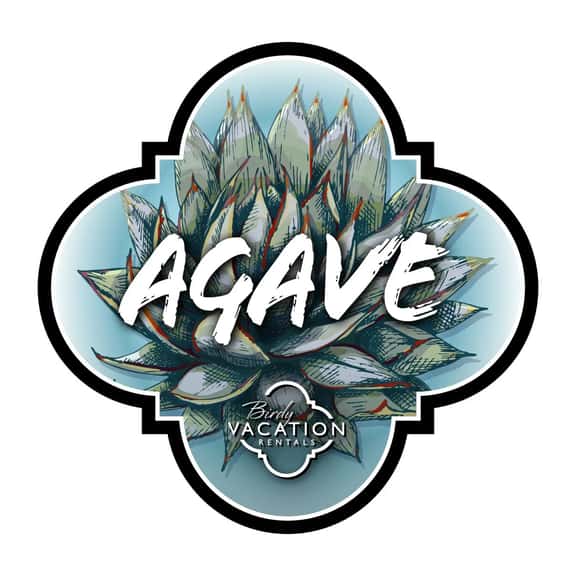 Agave - Image 1